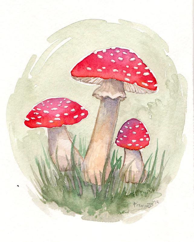 642x803 Red Mushroom Watercolor Print Forest Nature Whimsical Etsy