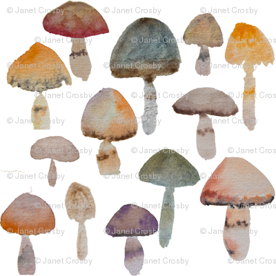400x400 Watercolor Mushrooms
