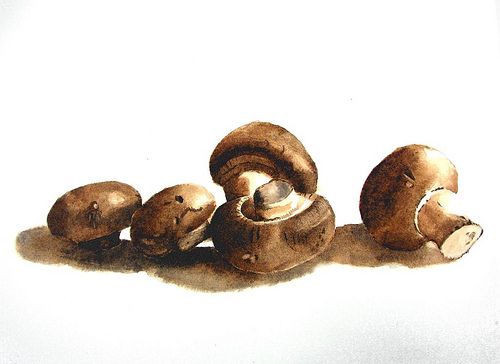 500x364 Watercolor Mushrooms Funghi Mushrooms, Watercolor