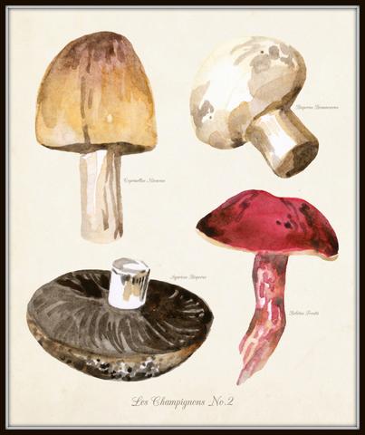 403x480 Watercolor Mushrooms Botanical Print Set Belle Maison Art
