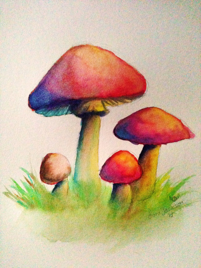 768x1024 Watercolor Mushrooms By Doublemaximus On Newgrounds