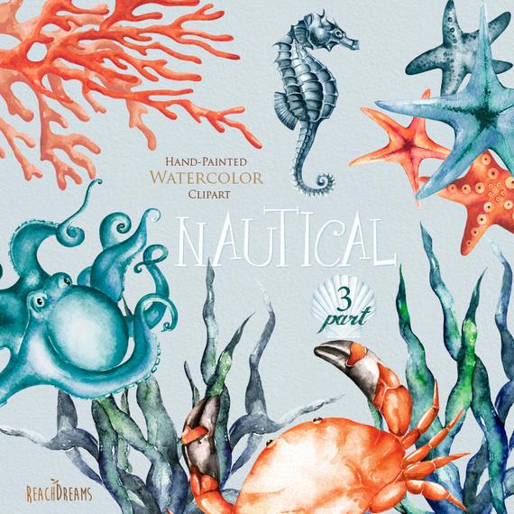 570x570 Nautical Watercolor Clipart. Marine. Ocean. Individual Png Etsy