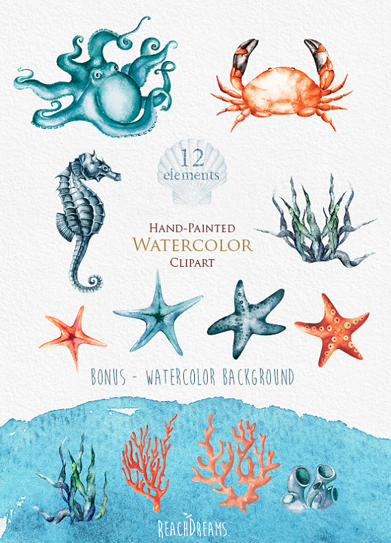 570x792 Nautical Watercolor Clipart. Marine. Ocean. Individual Png