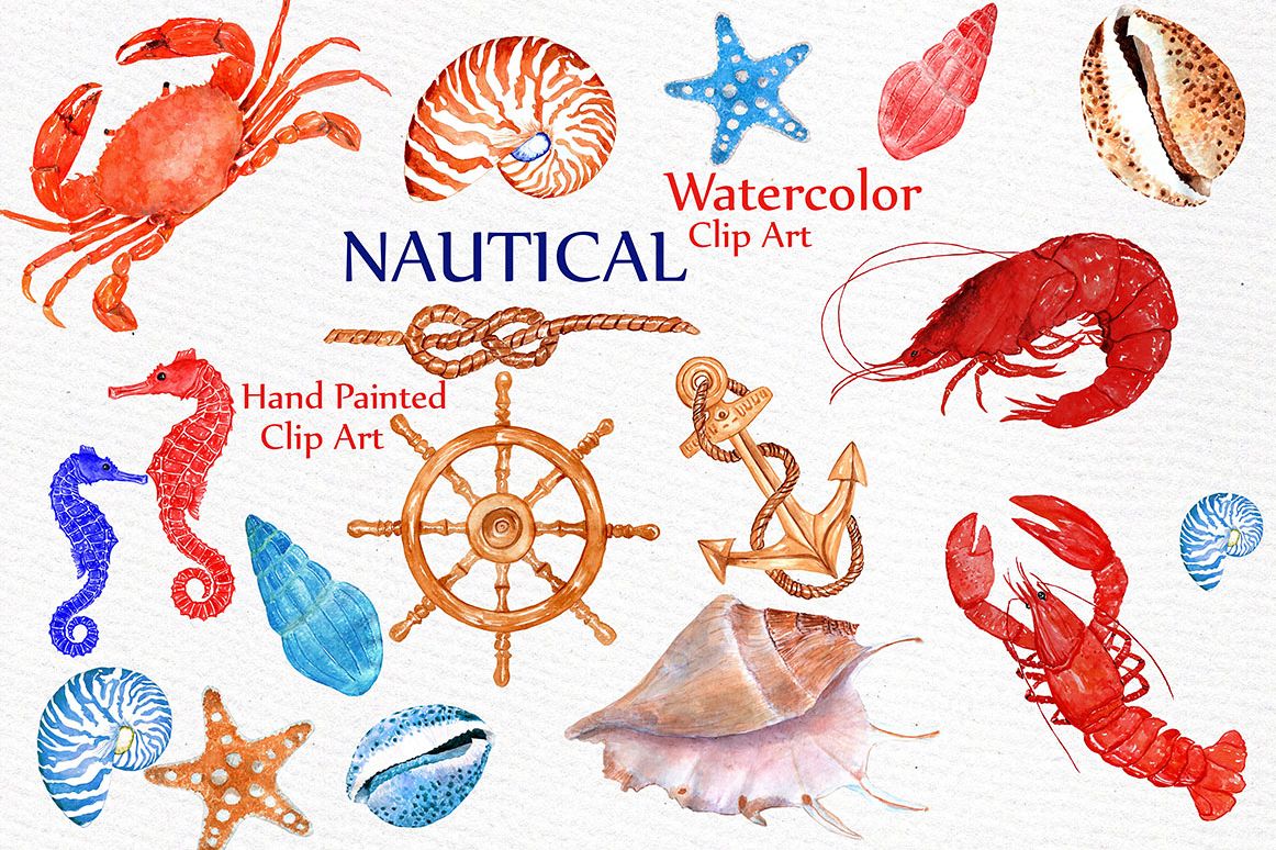 1162x774 Seashell Nautical Watercolor Clipart