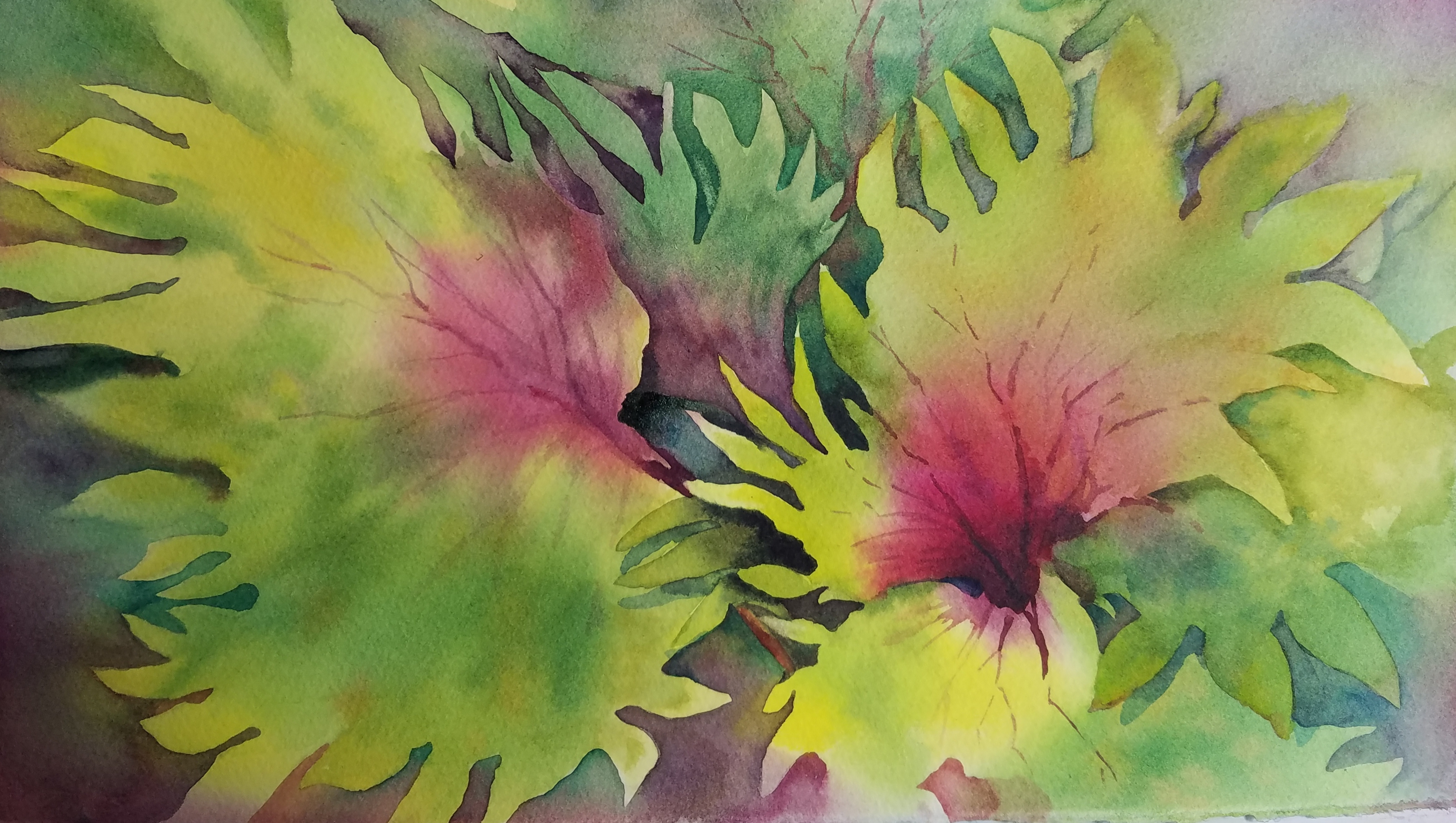 3497x1976 Corrales Arts Center