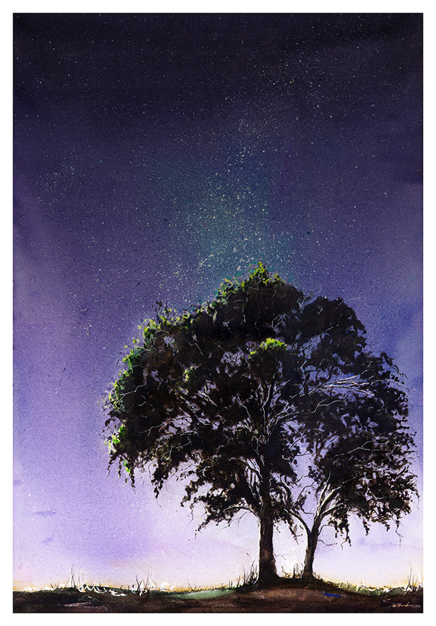 627x900 Purple Night Sky Watercolor Animal Paintings