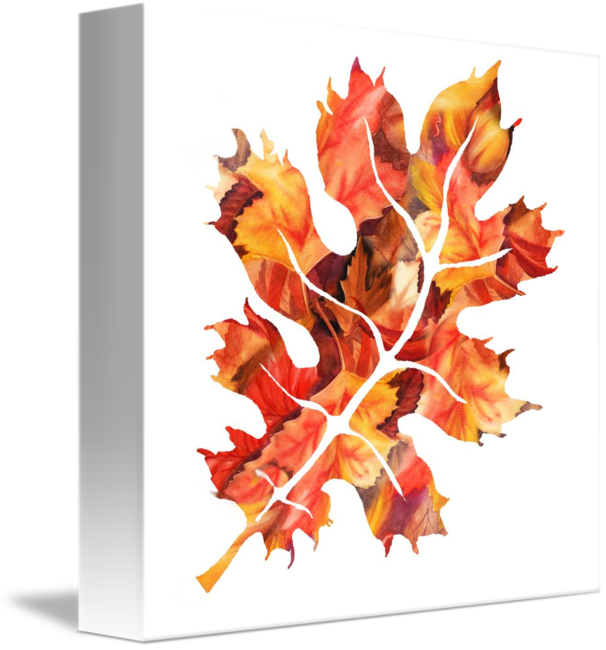 606x650 Fall Oak Leaf Watercolor Silhouette By Irina Sztukowski