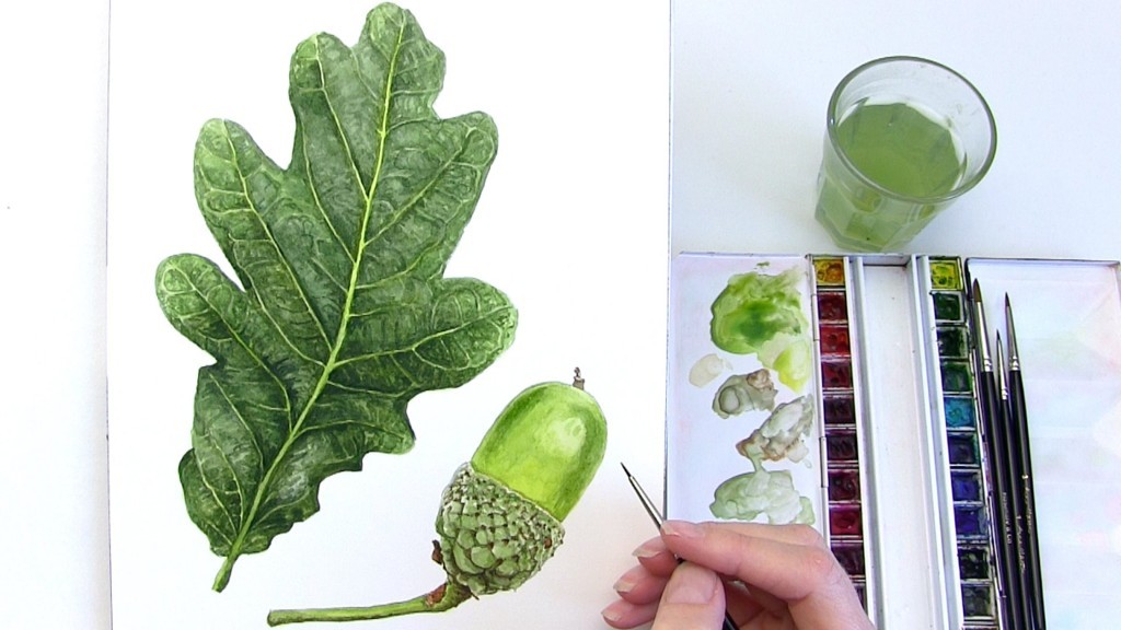 1024x576 How To Paint A Realistic Oak Leaf In Watercolour