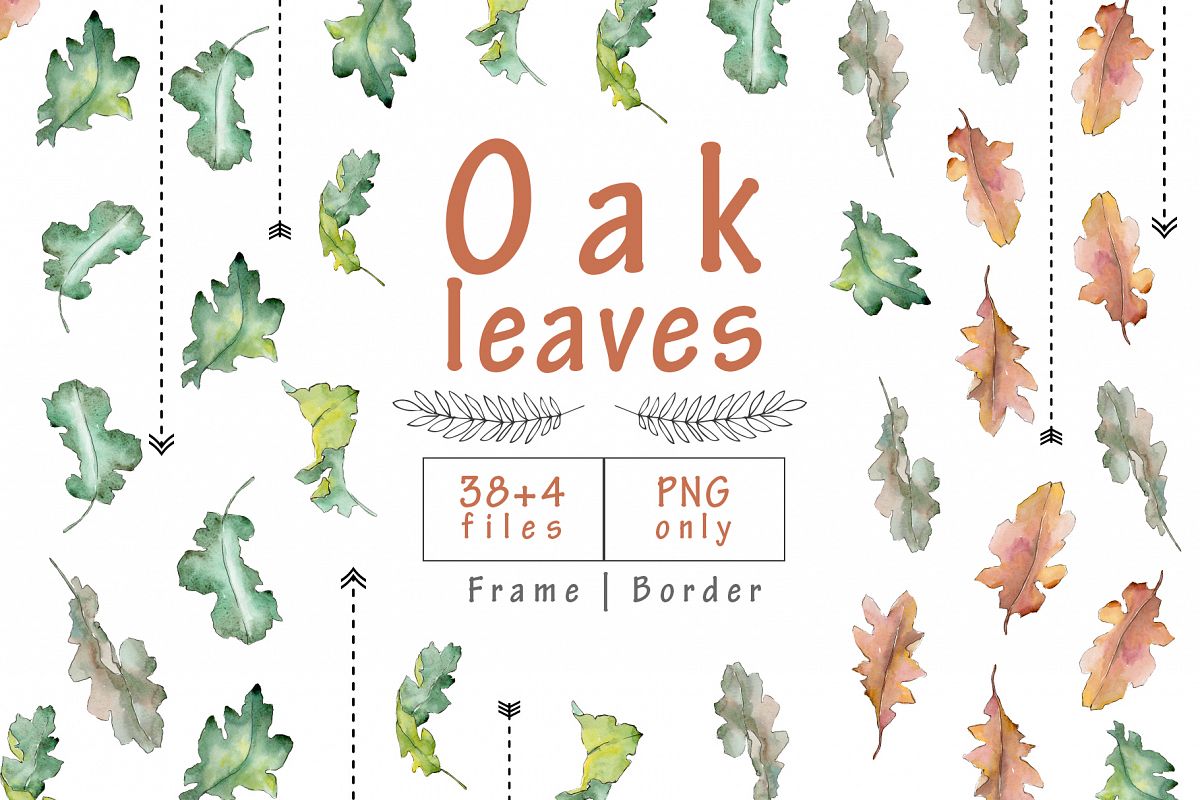 1200x800 Oak Leaves Png Watercolor Set