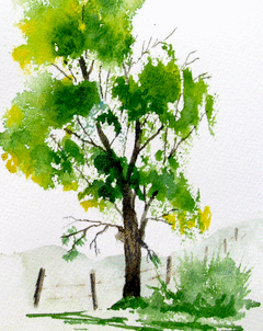 240x302 Image Result For Easy Watercolor Paintings Of Trees A Wc