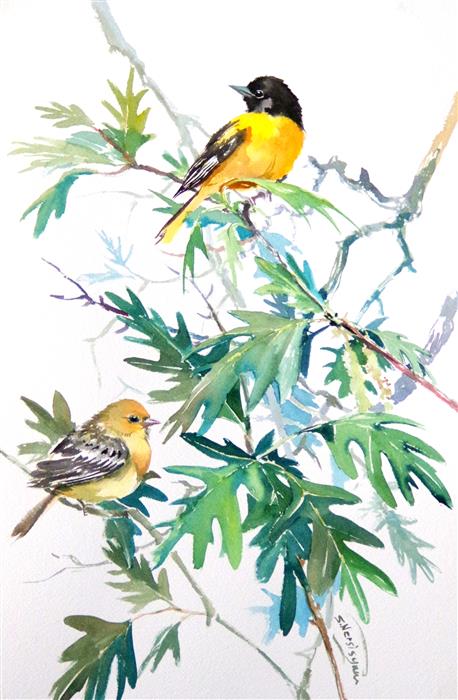 458x700 Baltimore Orioles And White Oak Tree By Suren Nersisyan