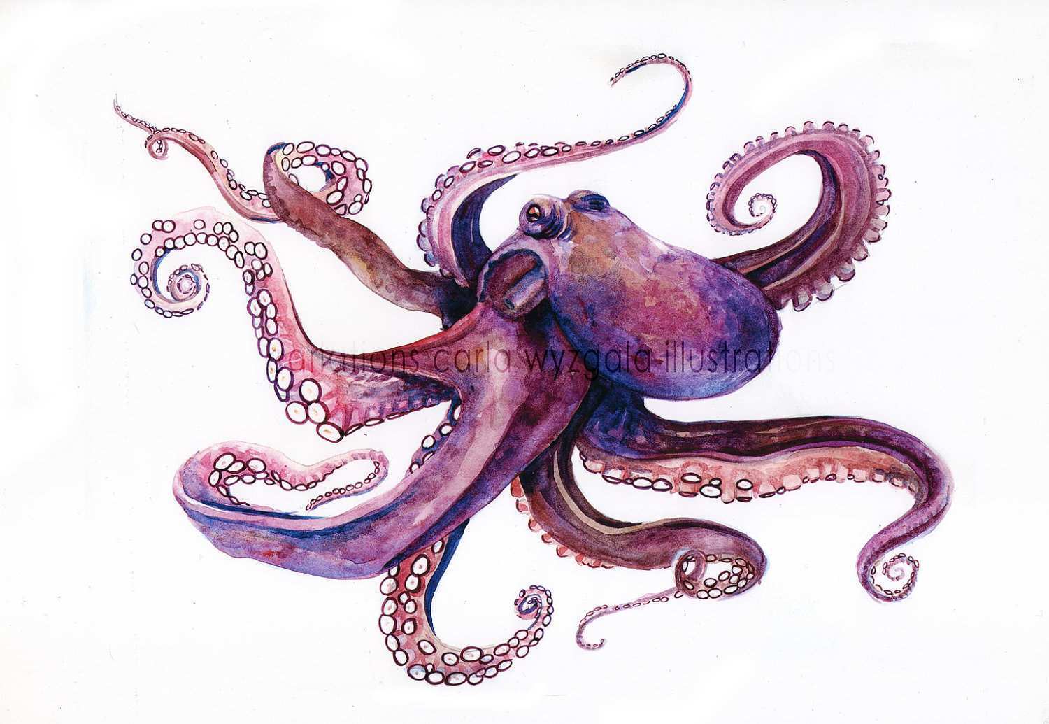 1500x1035 Octopus Painting Inspirational Items Similar To Purple Octopus