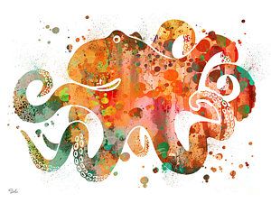 300x225 Octopus Watercolor Painting