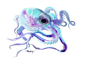 300x214 Octopus Watercolor Paintings Fine Art America