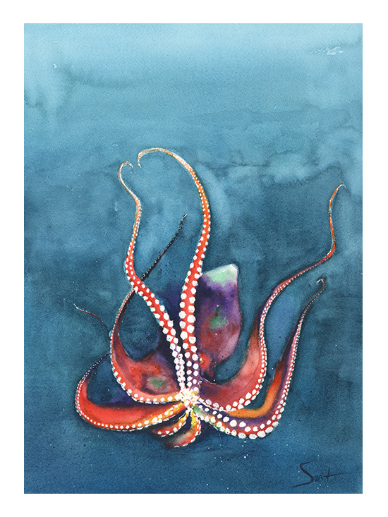 550x733 Octopus Watercolor Print Watercolor Animal Paintings