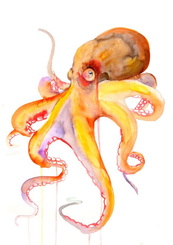 570x806 Octopus Watercolor Painting Art Print By Watercolormary On Etsy