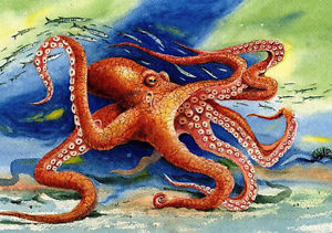 300x211 Octopus Watercolor Painting Picture 8x10 Best Beach Decor Art