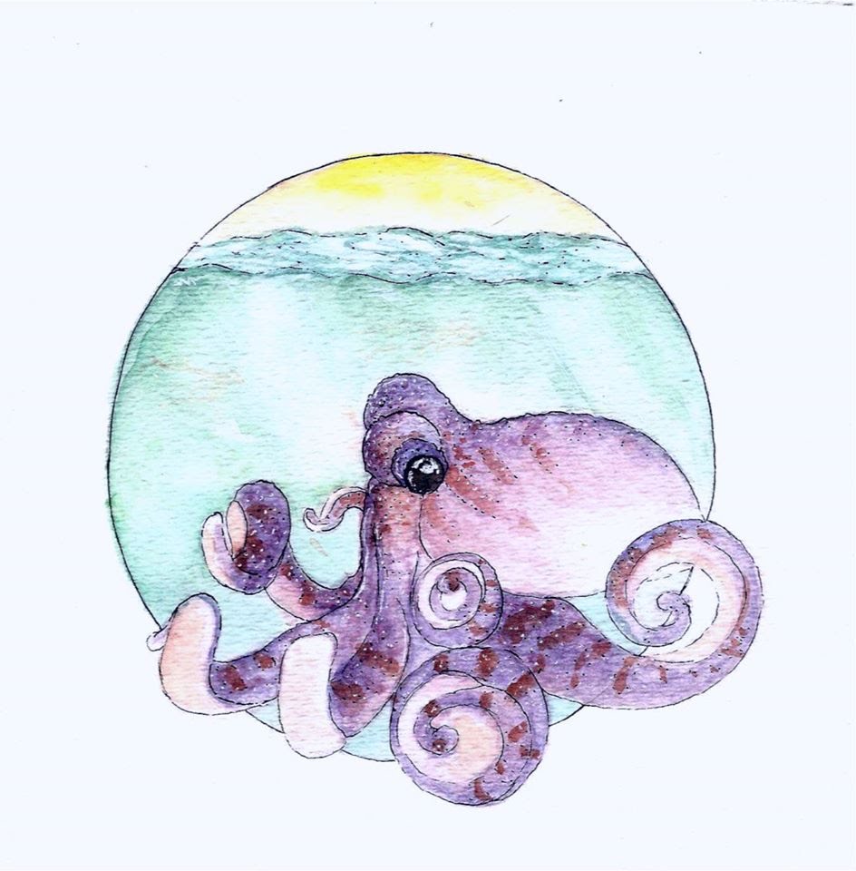 944x960 Painting A Watercolor Octopus
