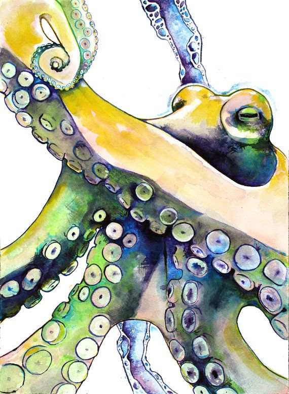 570x776 Watercolor Painting Octopus Giclee Print Yellow Octopus With