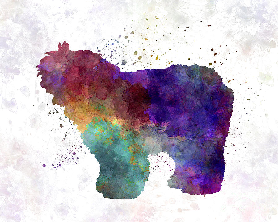 900x720 Old English Sheepdog Bobtail In Watercolor Painting By Pablo Romero