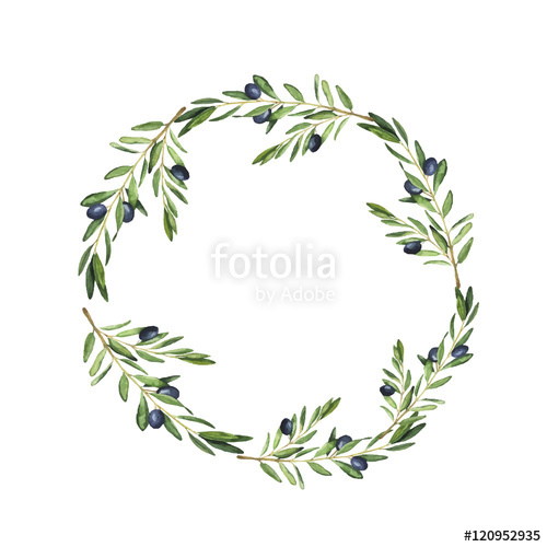 500x500 Olive Tree Wreath Painted By Watercolor. Design For Menu, Wedding