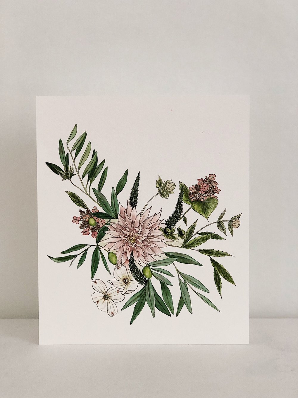 1000x1333 Watercolor Dahlia + Olive Branch Esther Clark Illustration
