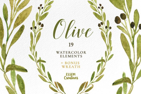 570x380 Watercolor Olive Branch Clipart Leaves Clipart Green Etsy