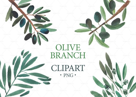 570x407 Watercolor Olive Branch Clipart Wedding Clipart Logo Etsy