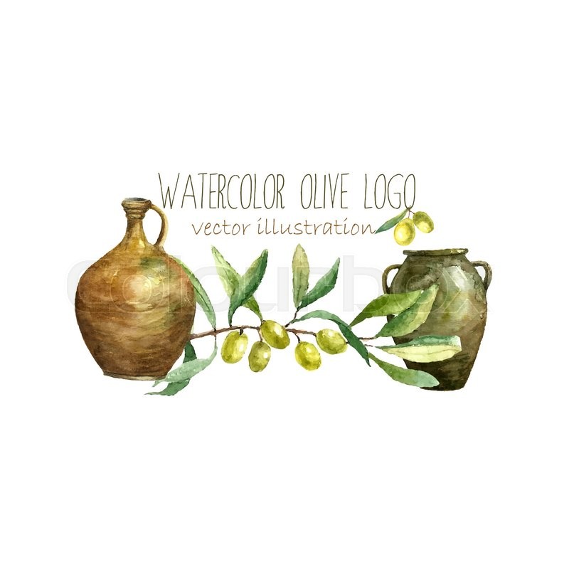 800x800 Watercolor Artistic Olive Branch And Clay Pots Logo. Hand Drawn
