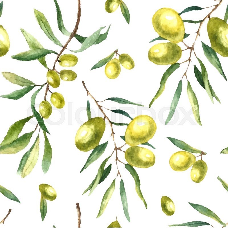 800x800 Watercolor Olive Branch Seamless Pattern. Hand Drawn Floral