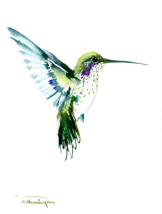 532x700 Flying Hummingbird Olive Green Watercolor Art, 12 X 9 In