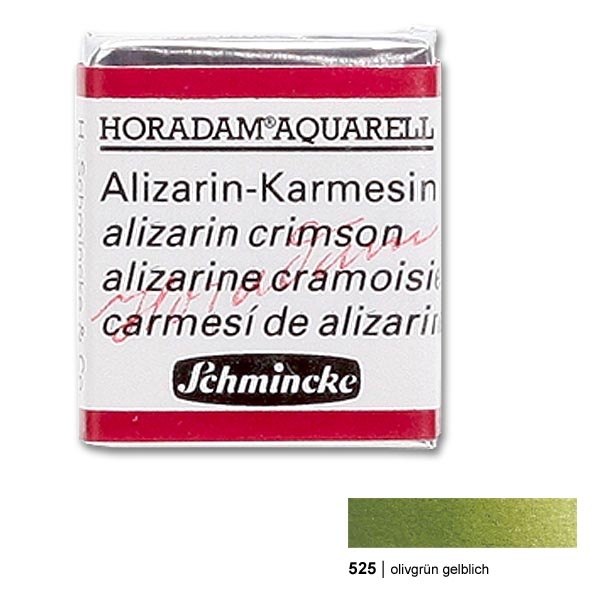 600x600 Horadam Watercolor 12 Pan Olive Green Yellowish