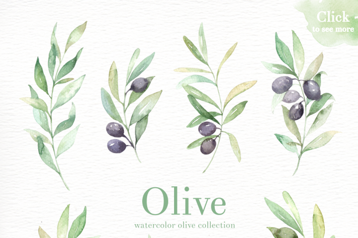 720x479 Olive Watercolor Clipart By Everysunsun