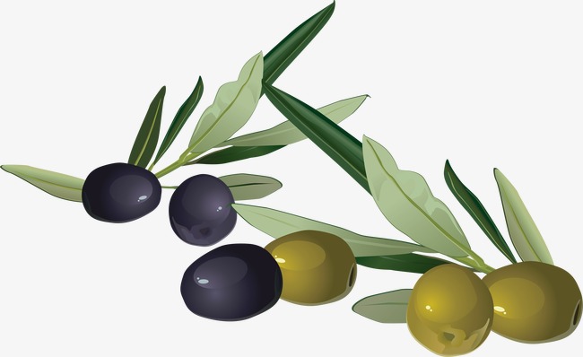 650x398 Olive Watercolor Materials, Watercolor Clipart, Olives, Food Png