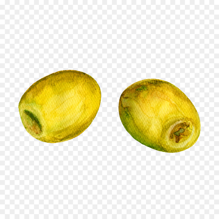 900x900 Olive Oil Watercolor Painting