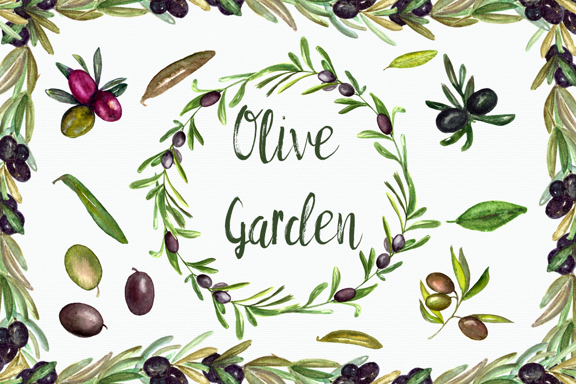 1158x772 Watercolor Olive Garden Clip Art Set + Wreath Amp Border