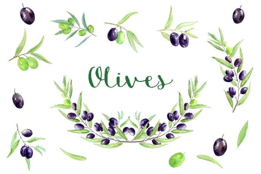 864x576 Watercolor Olive Clipart, Olive Illustration Instant Download
