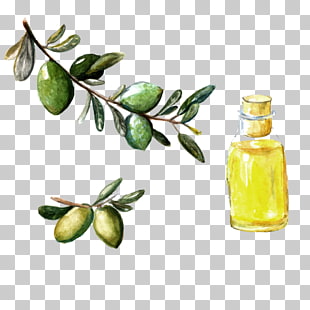 310x310 Watercolor Painting Olive Wreath Olive Branch, Olive Png Clipart