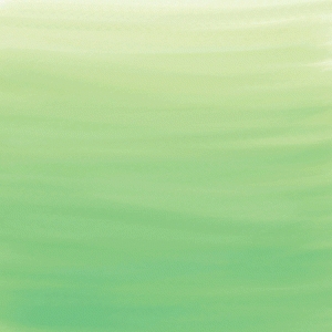 300x300 Silhouette Design Store