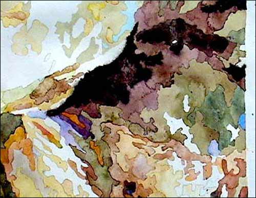 500x387 How To Paint Large Watercolors