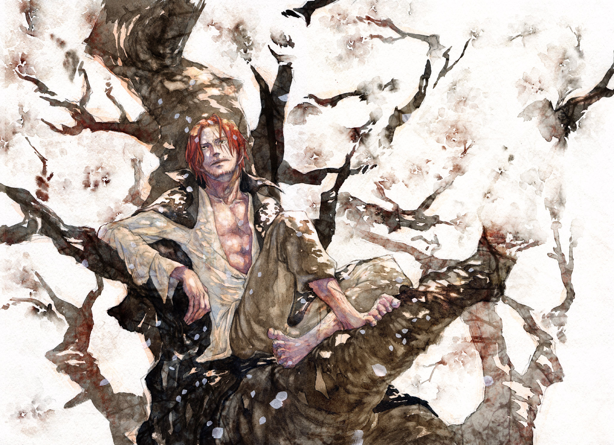 2069x1500 Shanks