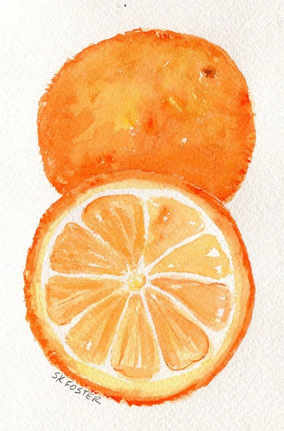 570x864 Oranges Painting, Oranges Watercolors Paintings, Fruit Wall Art 4
