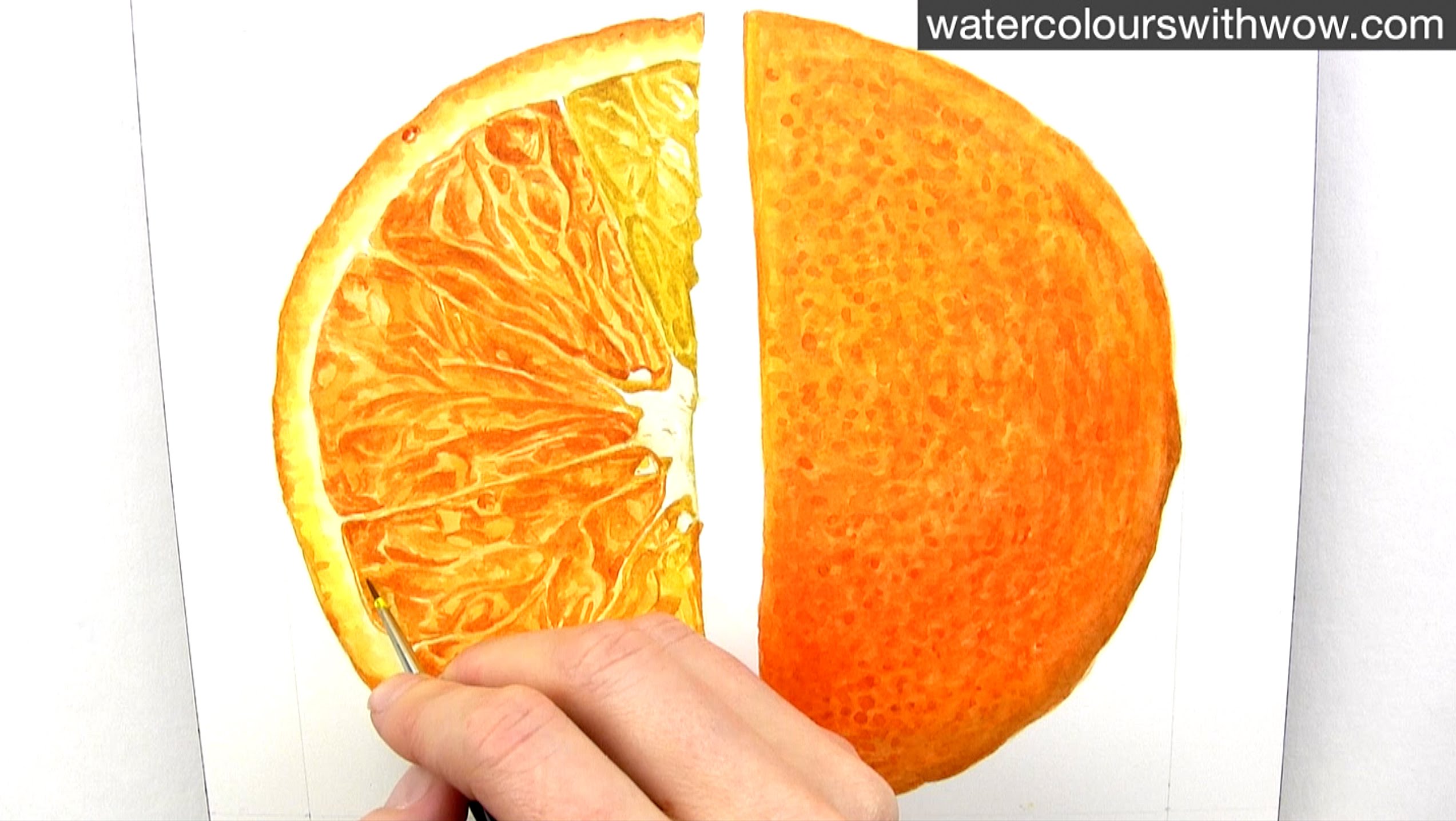 2546x1437 How To Paint A Realistic Juicy Orange Slice In Watercolour With