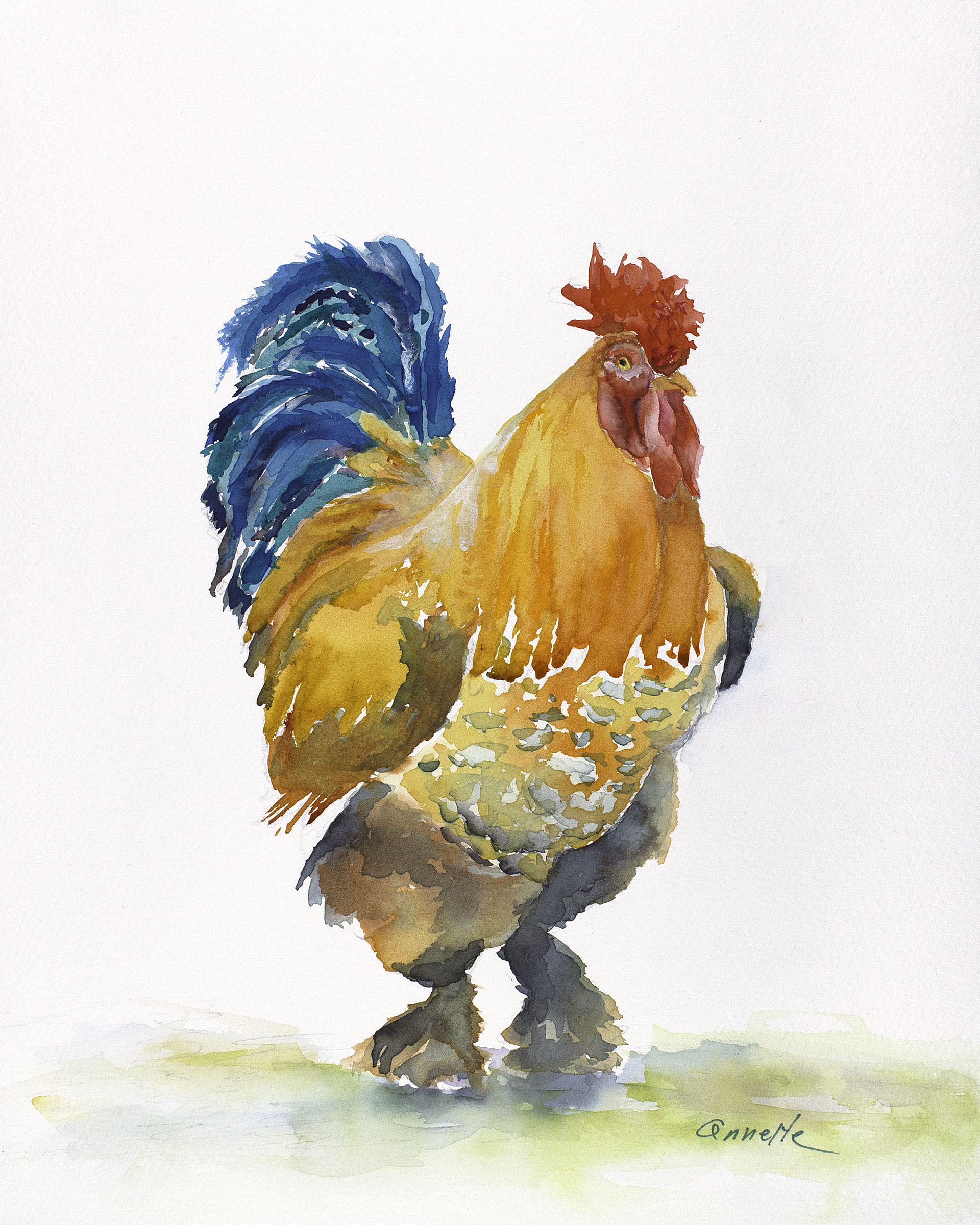 1920x2400 Rooster Search Results Annette Bennett Watercolor Art