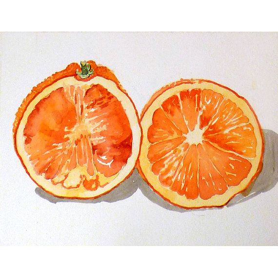 570x570 195 Best Fruit Art Images Watercolor Techniques, To