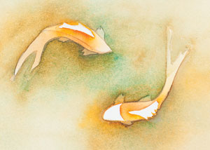 300x214 Watercolor Painting Lesson Of Koi Fish