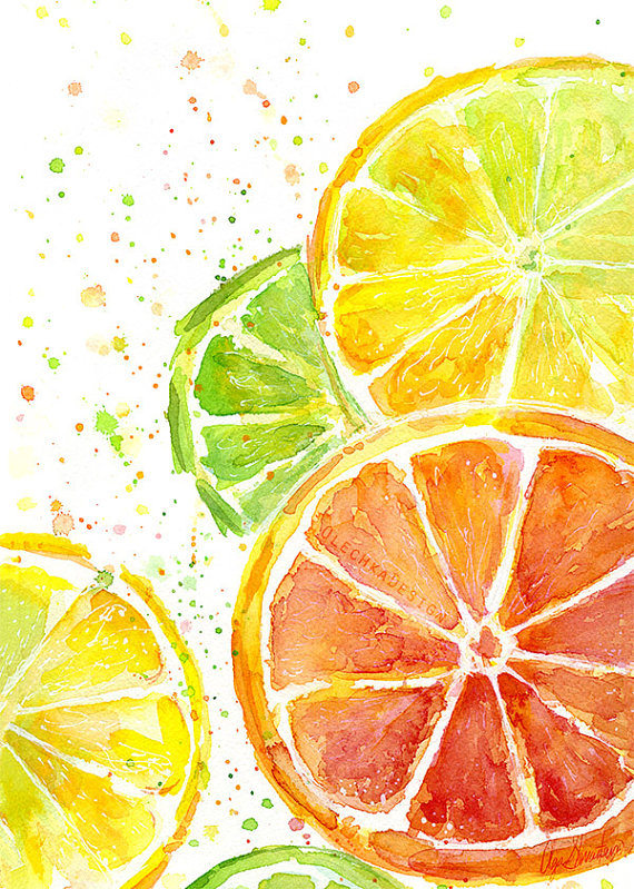 570x799 Citrus Fruit Watercolor, Art Print, Food Painting, Lime, Oranges