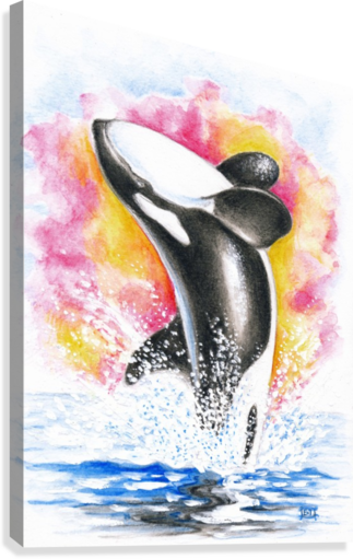 323x511 Breaching Orca Killer Whale Watercolor