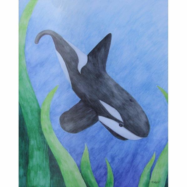600x600 Orca