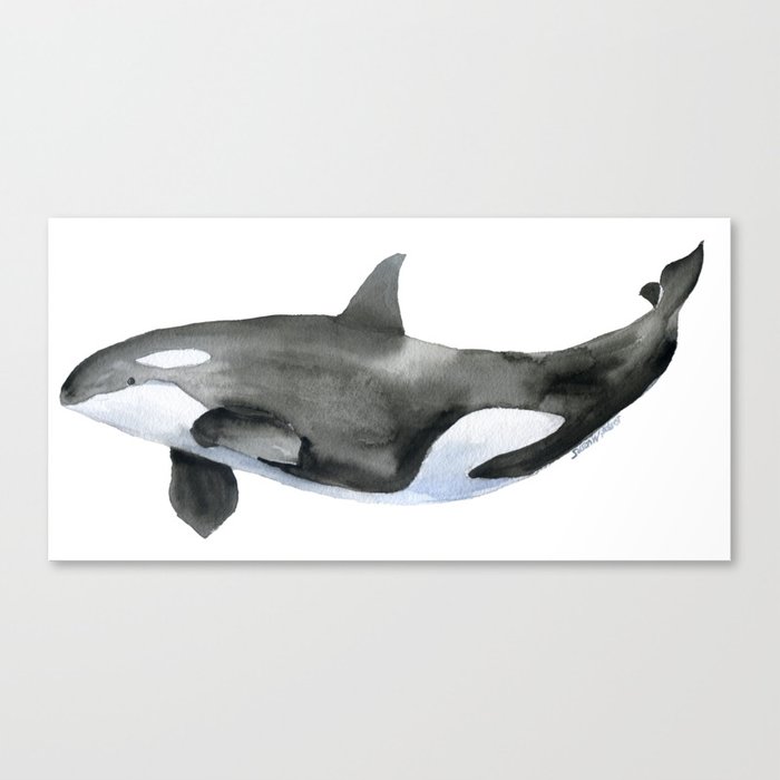 700x700 Orca Killer Whale Watercolor Canvas Print By Susanwindsor Society6